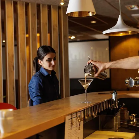 Ibis Sud Hotel 3*